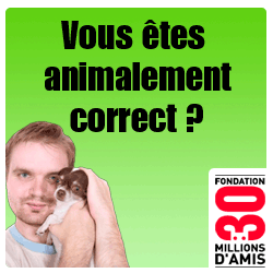 Aidez les, c'est important